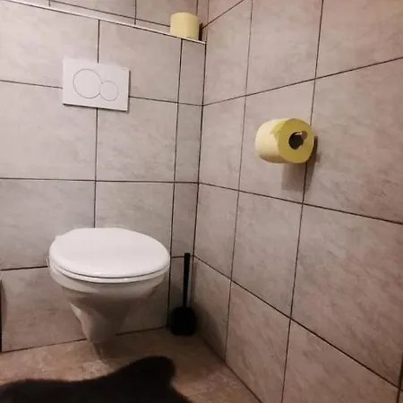 Apartment Suzana *